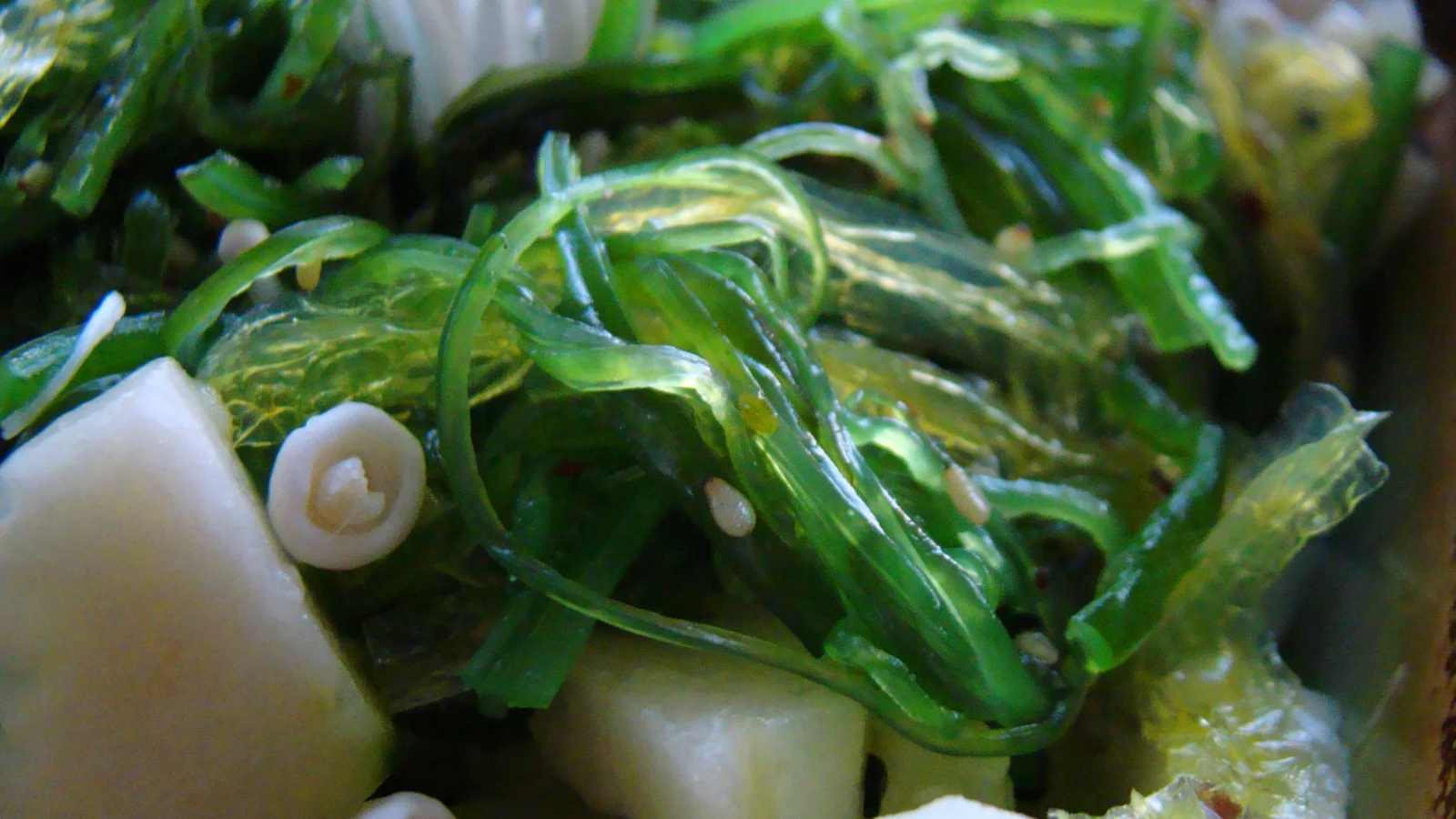 Sunomono: O Que é e Como Fazer a Salada de Pepino Japonesa