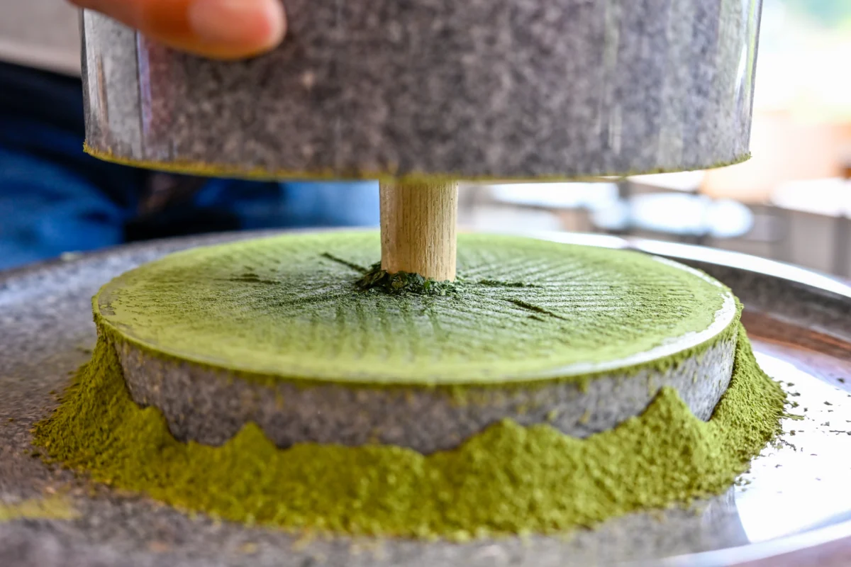 Folhas de tencha sendo moídas em moinho de pedra tradicional para produzir matcha.